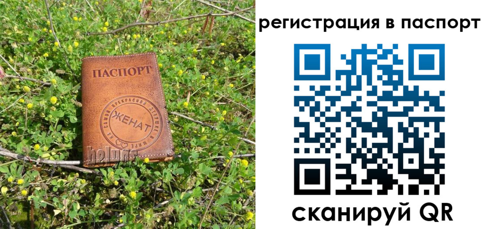 прописка для кредита в Жуковке